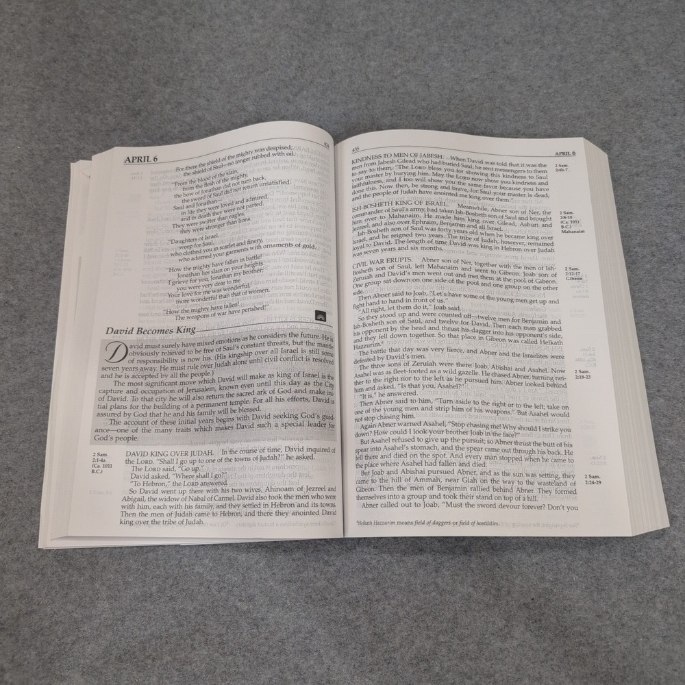 The Daily Bible Large‎ Print Edition NIV 365 Daily Readings Chronological Order - Picture 5 of 6